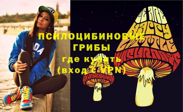 каннабис Дмитров