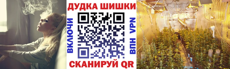 МАРИХУАНА MAZAR  Купить закладки  Почеп 